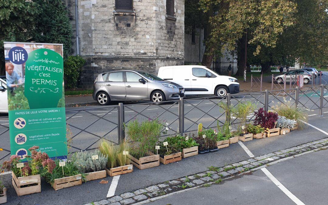 Végétalisation de la façade rue avant et après